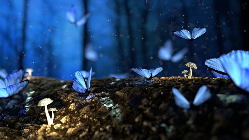 Enchanted Items