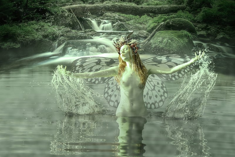 Fairy